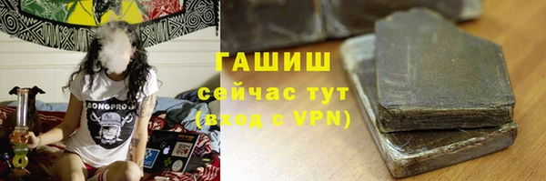индика Ладушкин