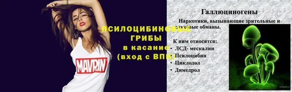 индика Ладушкин