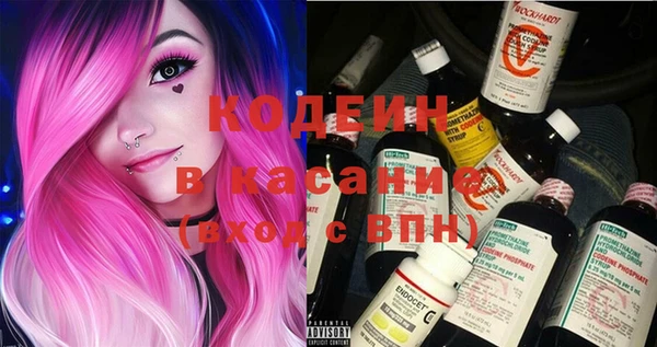 индика Ладушкин