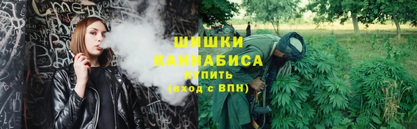 винт Лабытнанги