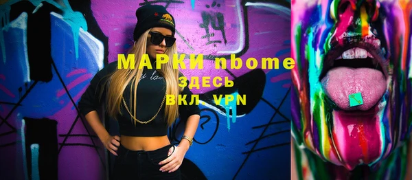 индика Ладушкин