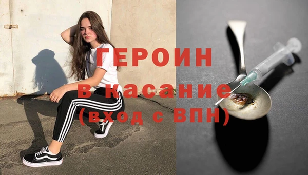индика Ладушкин