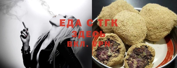 индика Ладушкин