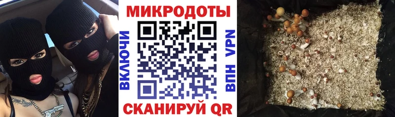 Галлюциногенные грибы MAGIC MUSHROOMS  hydra tor  Грозный 